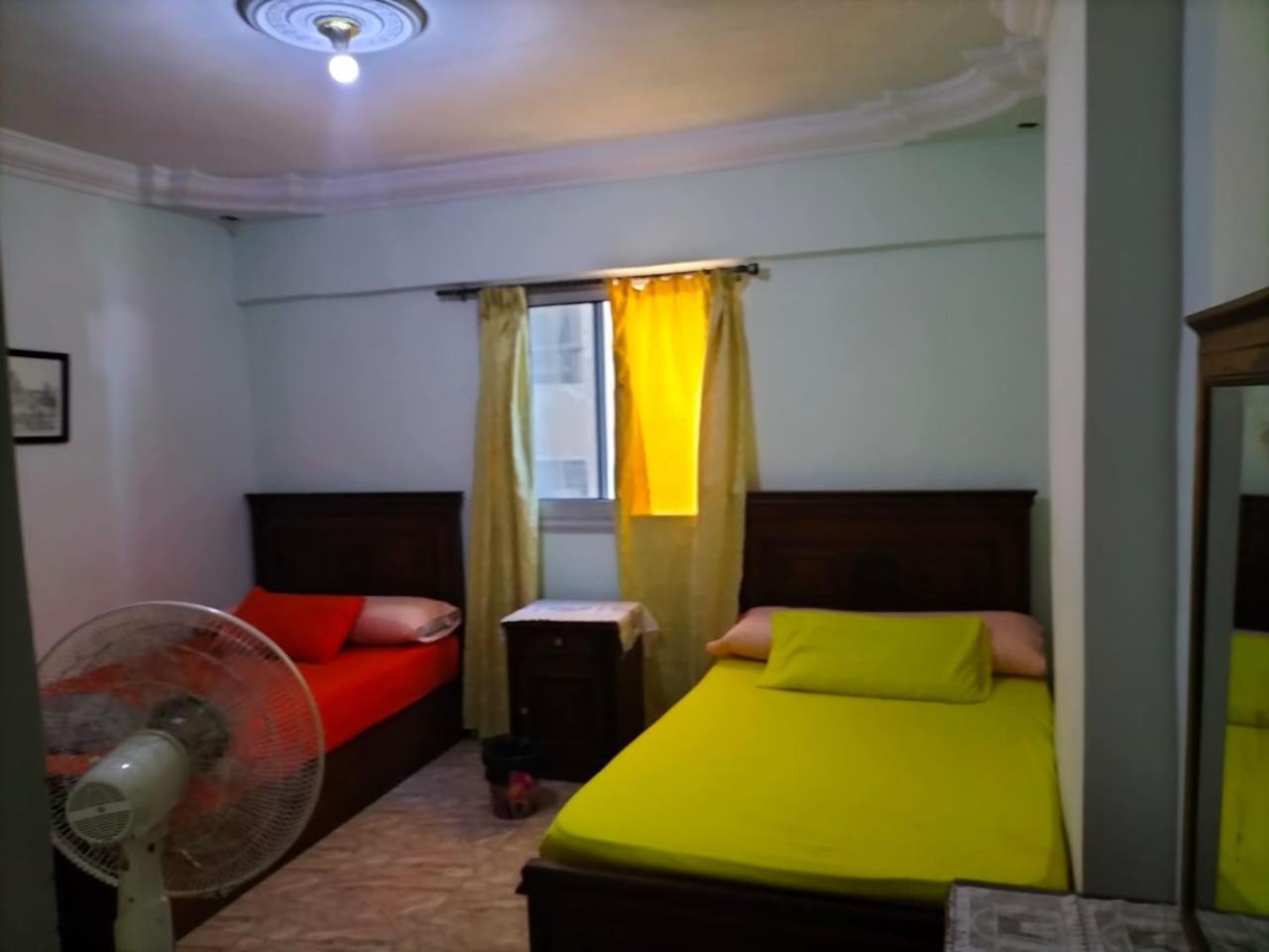 Flores Casas De Playa Alexandria Luaran gambar