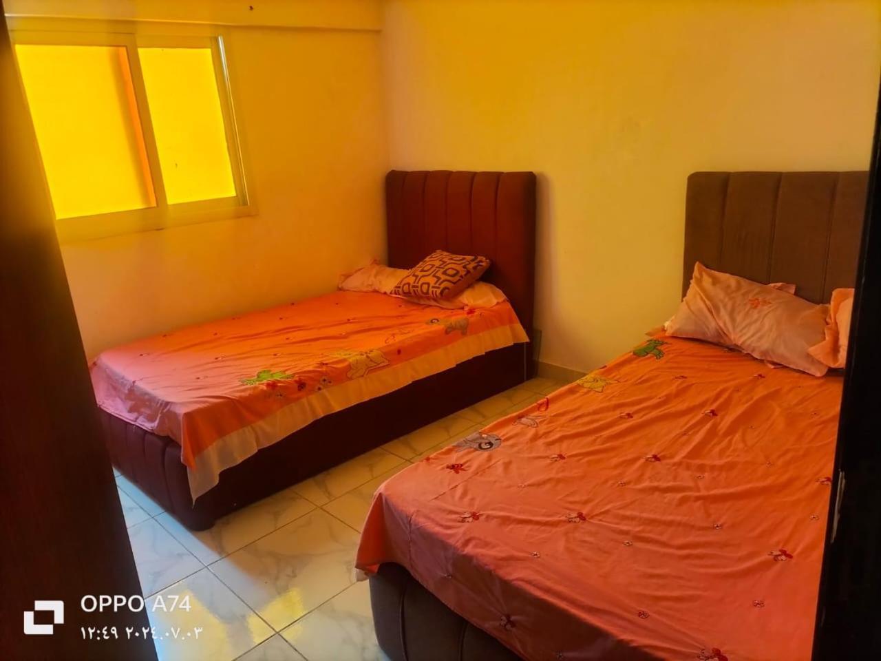 Flores Casas De Playa Alexandria Luaran gambar